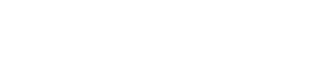 WILLKOMMEN IN ARIZONA visual data 7